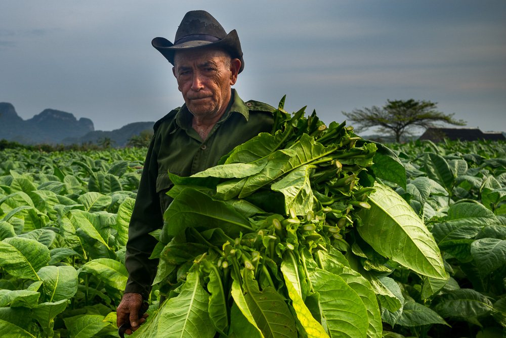 Platz 3 Michael Mayer